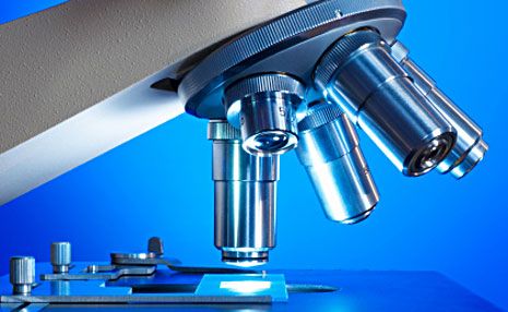 Microscope illustrating how the FCA is treating suspect IFAs